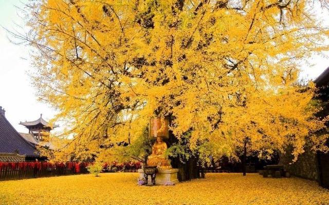 一百年一千年算不算很久出处