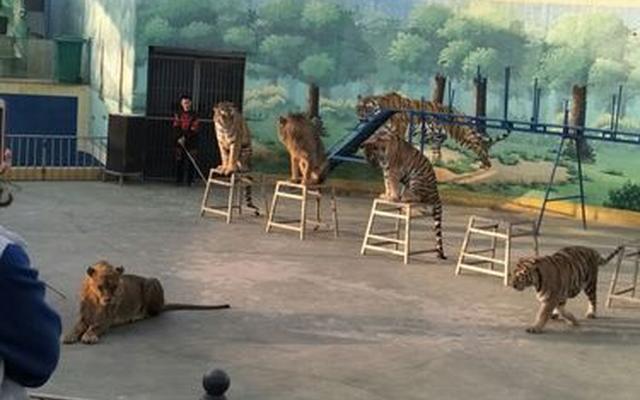 五龙山在新乡东还是西、新乡辉县五龙山营销策略