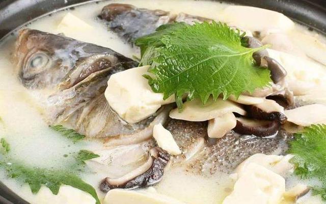 鱼头可以炖哪些东西 鱼头可以炖哪些东西