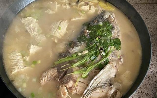 炖大鱼头的家常做法 炖大鱼头的家常做法