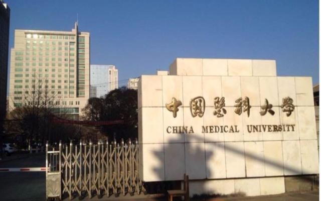 中国药科大学是985吗