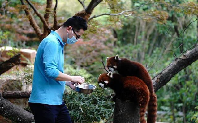 动物饲养员证怎么考