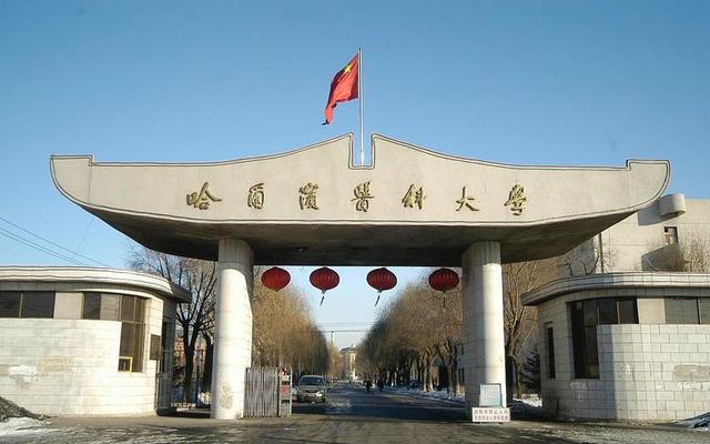 哈尔滨最好的十所大学