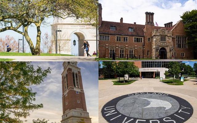 奥克兰大学和国内985比