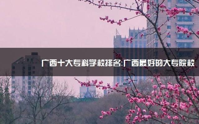 广西护理大专院校有哪些学校