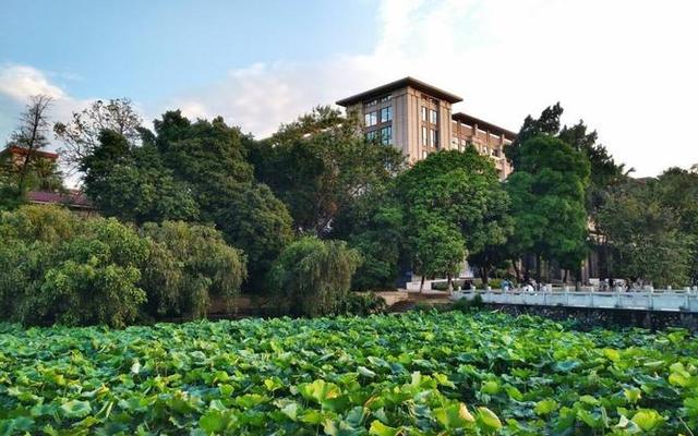 2020广西大学多少亩