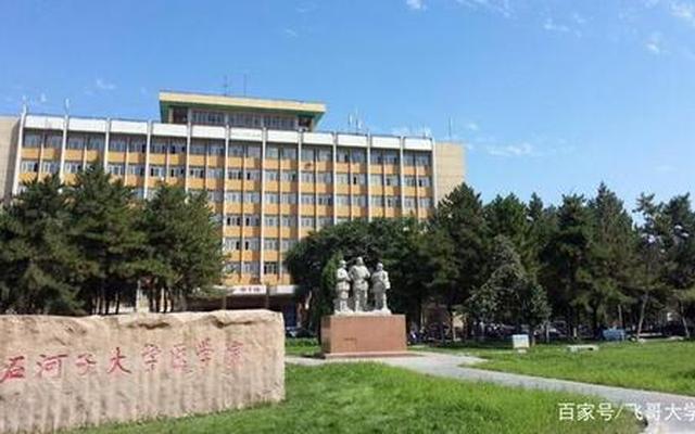 新疆石河子大学在哪个省