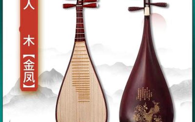 最难学的民族乐器