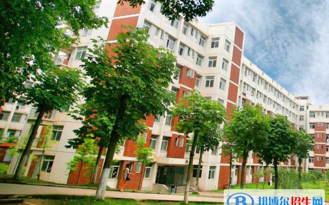 湖北中专学校排名榜