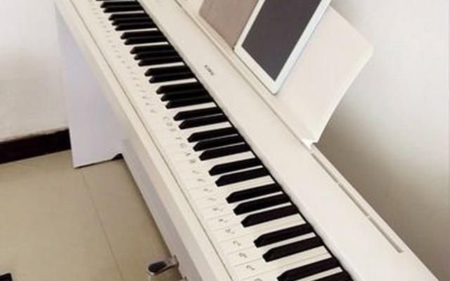 学电子琴好还是学钢琴好