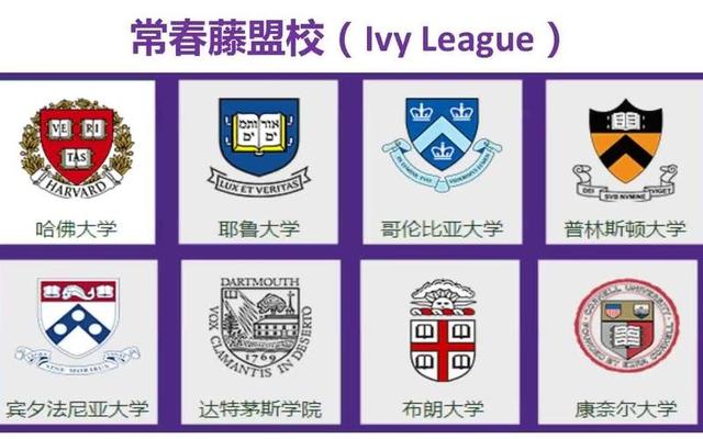 美国常青藤是什么