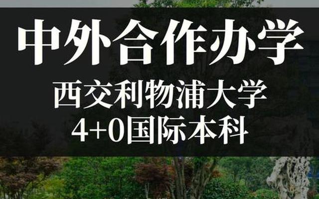 西交利物浦大学4x的申研情况