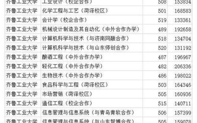 齐鲁工业大学的王牌专业是什么