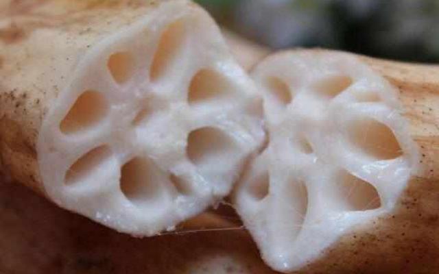 九孔藕和七孔藕的区别