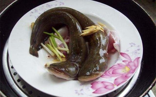 做鲶鱼时怎么去除鲶鱼身上的粘液视频