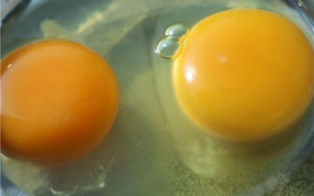 初生蛋和鲜鸡蛋的区别