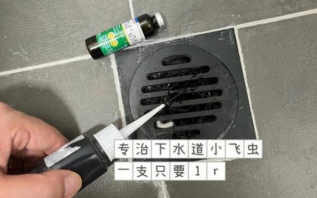 厕所便池里的小飞虫怎样消灭