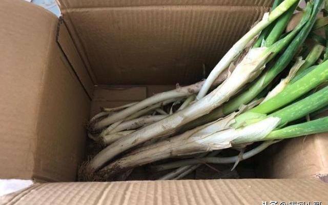 成捆大葱储存的最好方法
