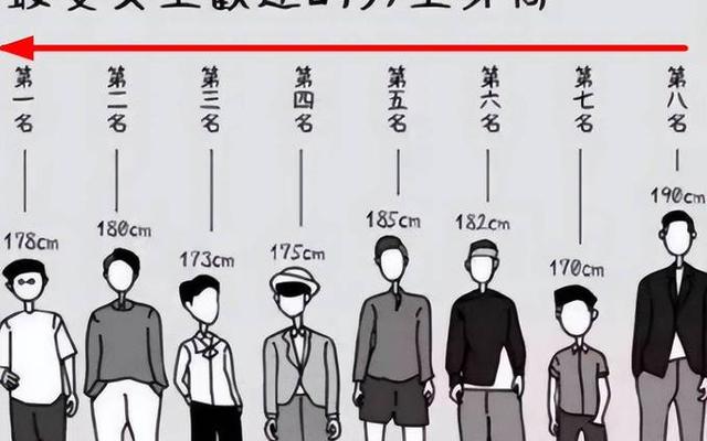 男高是什么意思网络用语