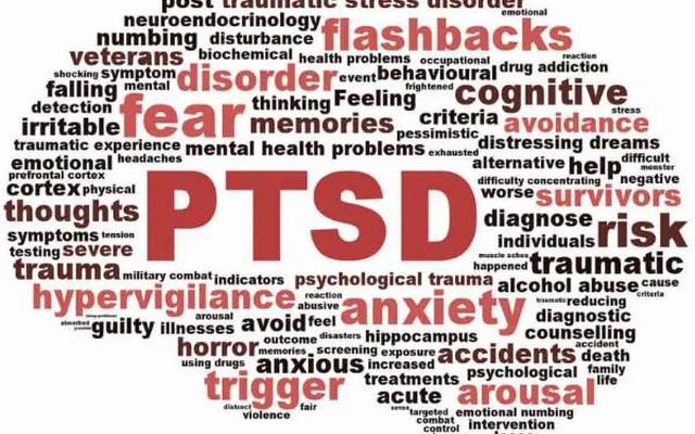 女高是什么意思饭圈