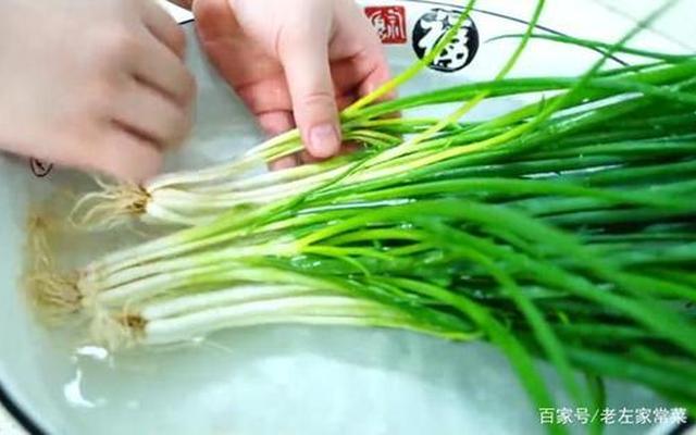小葱如何保存时间最长大量储存香葱过冻的放法