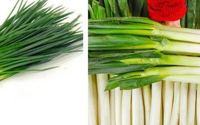 小葱放冷冻能保存多少时间呢