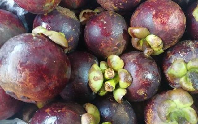 山竹怎么样才算坏了呢