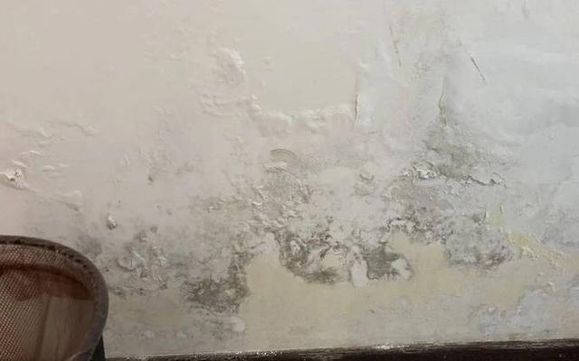 内墙返潮反碱怎么处理