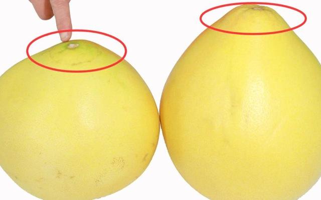 怎么挑柚子是甜的图解