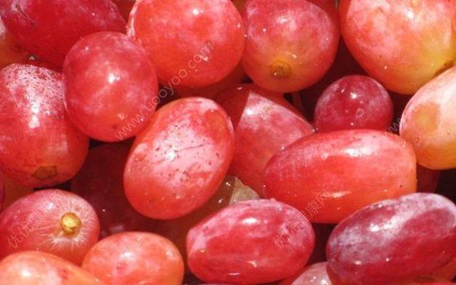 提子怎么清洗才会干净