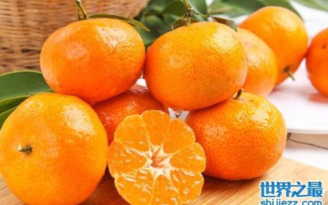 最好吃的柑橘排行榜