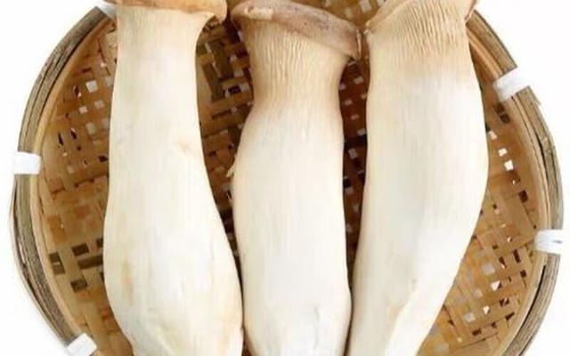 鸡腿菇杏鲍菇是一种吗