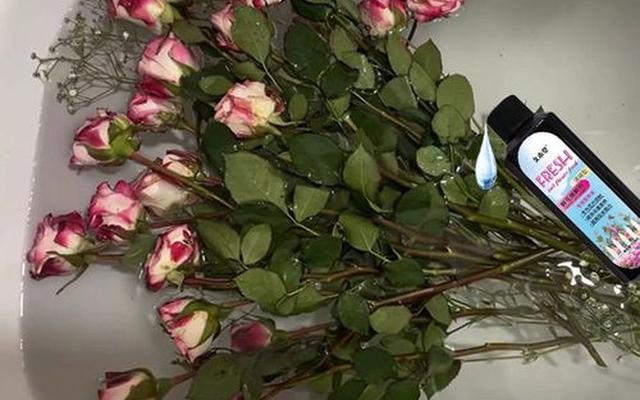 鲜花放水里加什么可以让鲜花保鲜