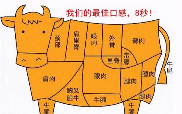 牛肉最好吃的部位排行(牛肉最好的部位依次排列)