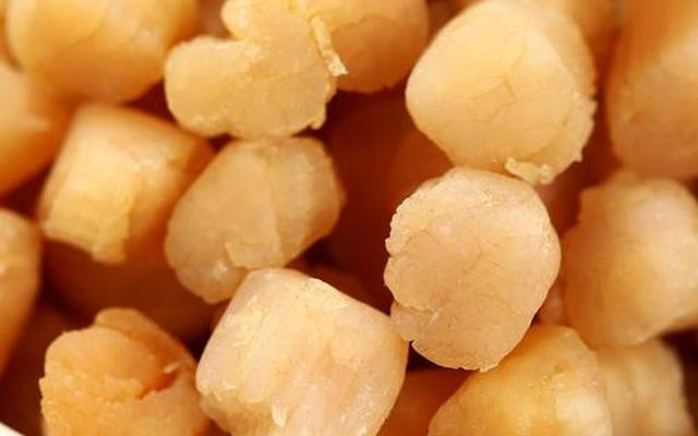 瑶柱是什么东西的肉