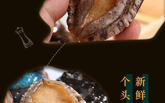 生鲜鲍鱼怎么保存方法