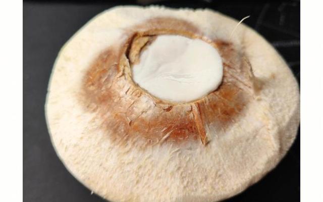 自己在家开椰青方法—自己在家如何开椰青