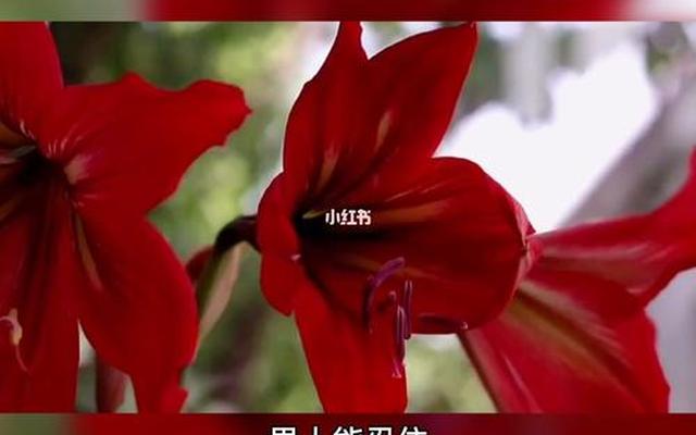 一个男人能忍住2天不联系你 一个男人能忍住2天不联系你