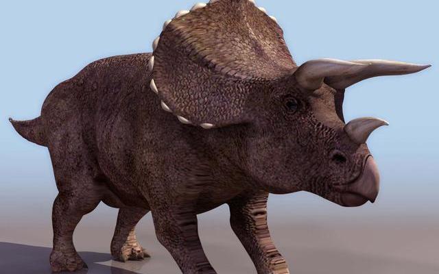 三角龙的食牲是什么