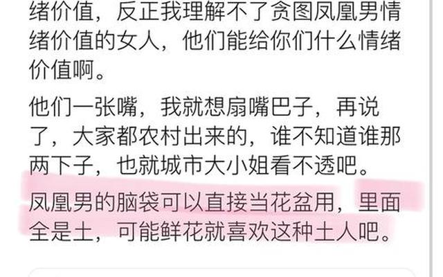 凤凰男是什么意思?