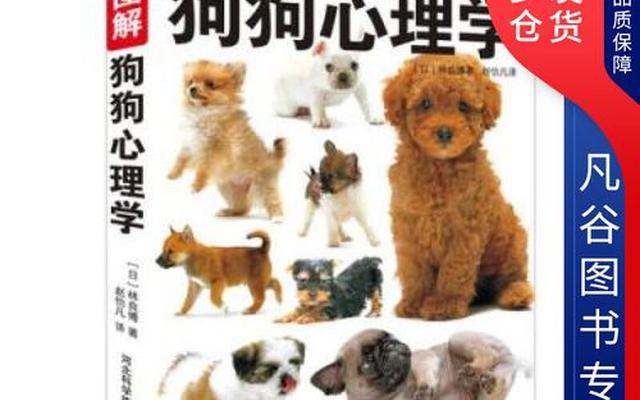 心理学分析喜欢狗的人