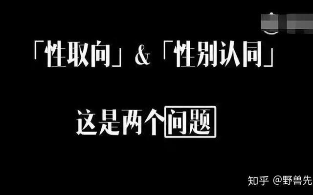 跨性别恋是什么意思