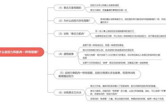 主观意志力量是什么意思