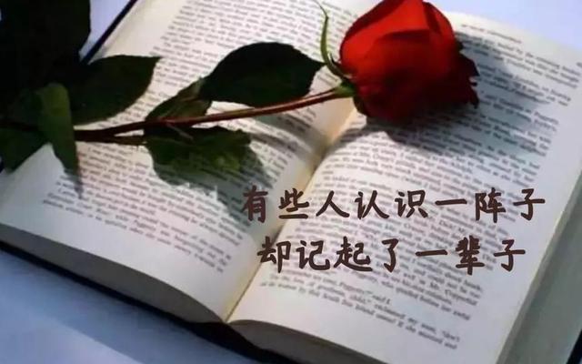 感悟人生的句子 经典图片