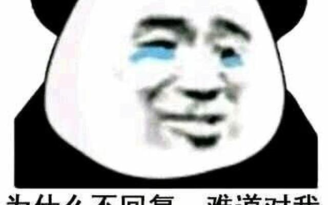 聊着聊着就不见了表情包