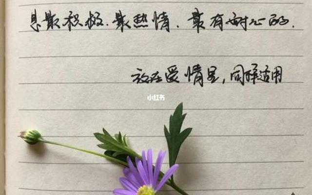 不以恋爱为目的的都是耍流氓