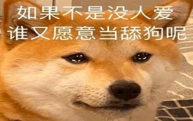 自嘲自己是舔狗文案