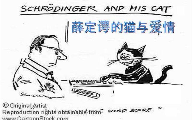 薛定谔的猫在爱情里比喻什么