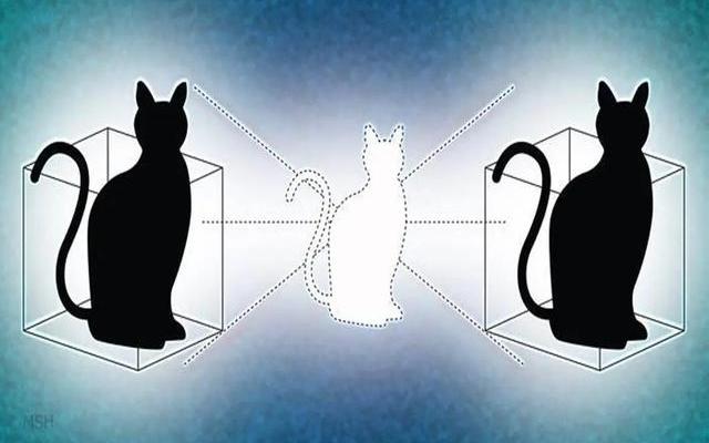 薛定谔的猫用来讽刺什么
