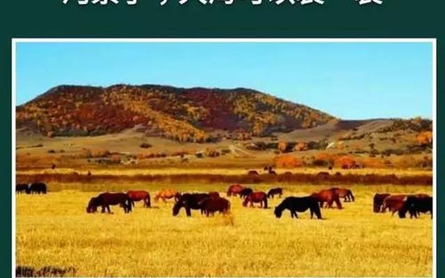 感觉活着好累不想活了怎么办